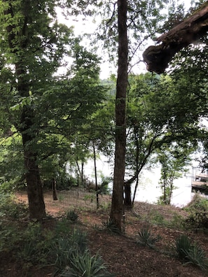 Path to the boat dock