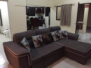 DOUBLE SLEEP SOFA IN LIVING ROOM