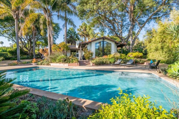 Stunning pool in lush oasis