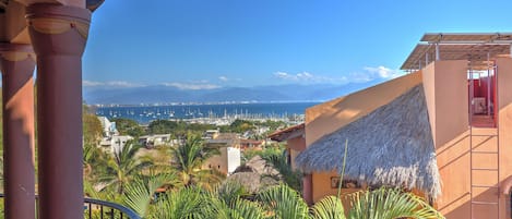 View of the Bay from the Cactus apartment