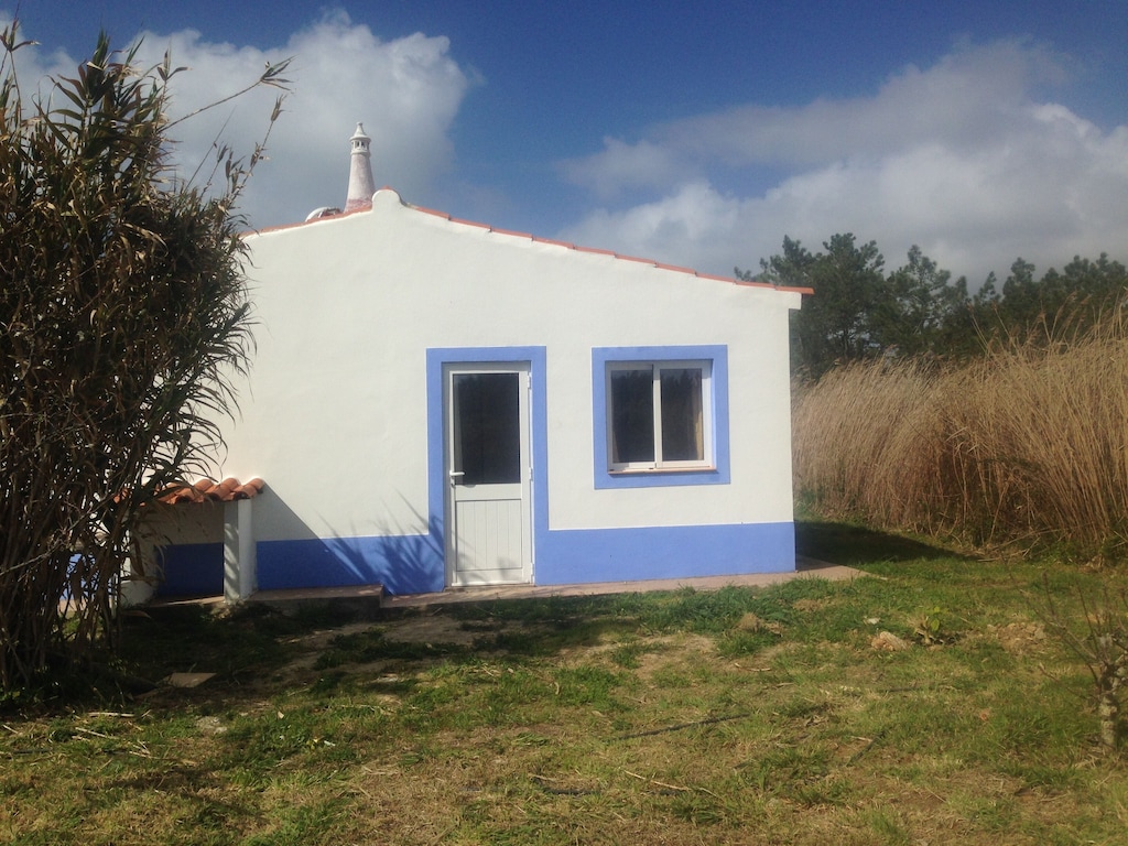 Picture of villa