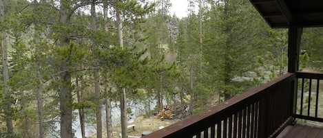 River Song Refuge~located on the banks of the N. Fork of the Cache la Poudre