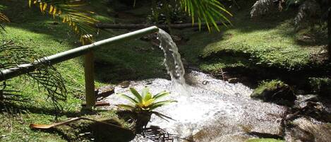 Jardines del alojamiento