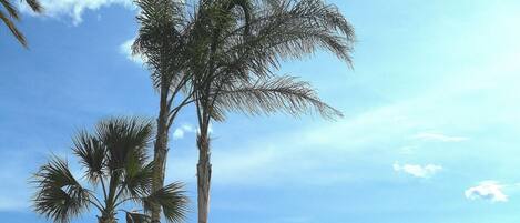 plage des sablettes à 3 minutes à pieds du logement