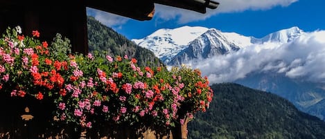 Le "chalet du Guide" en été avec le Mt Blanc en toile de fond.