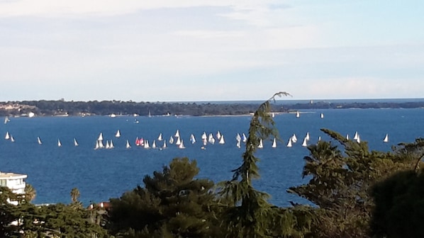 LES REGATES ROYALES VUES DE LA TERRASSE