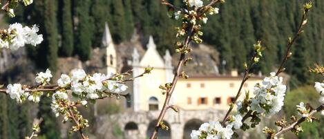 Splendida vista sul Santuario