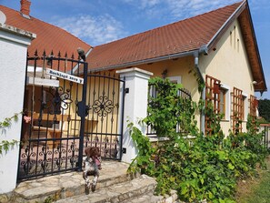 Innenhof, Haustiere willkommen!
