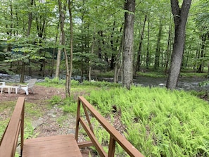 bridge to the river in the backyard