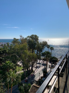 Skol Apartments Marbella 529A (2)