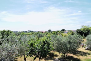Terrazza/patio