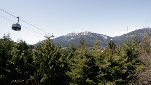 Gondola views