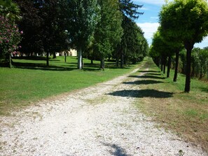 Property grounds