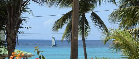 View from Veranda