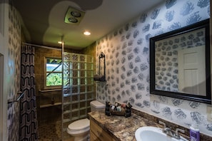 Bathroom completely renovated with walk in no step shower and mt view.