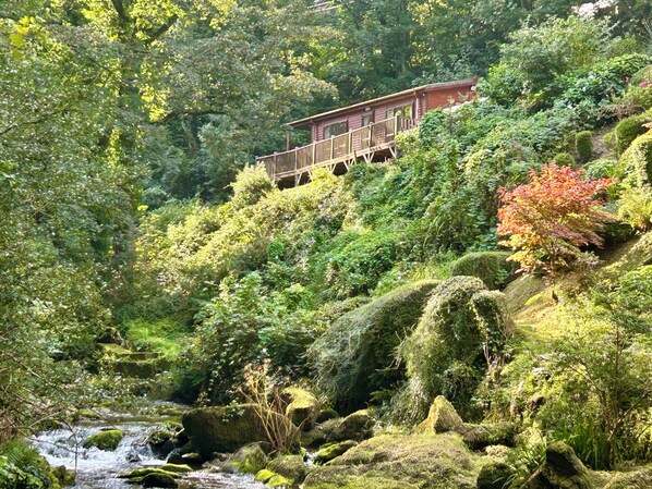 A secluded lodge with hot tub, nestled in woodlands & overlooking the West Lyn R
