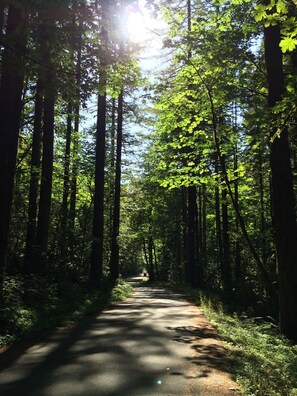 Boendeområde
