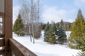 Main level balcony off living area