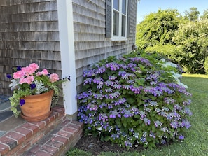 Partial view of the front entrance along with happy hydrangea bushes! 