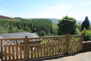 The view from the patio