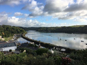 View of the river from the sun room towards Lerryn