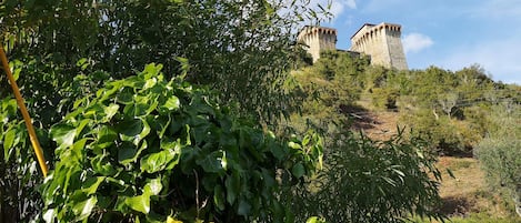 Overnatningsstedets område