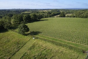 Bokes Barn is a contemporary barn conversion overlooking 80 acres of vineyards, in an Area of Outstanding Natural Beauty