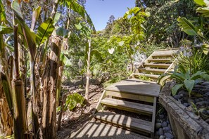 Stairs to Studio through Lush Tropical Garden.