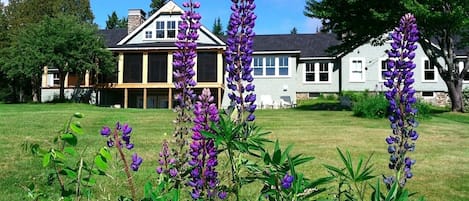 Lakeside yard