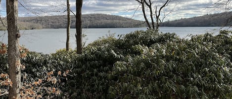 View off the lake off the back deck!