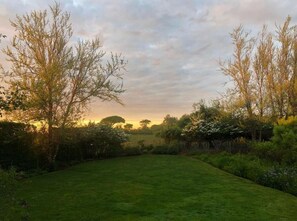 Large open lawn and backyard