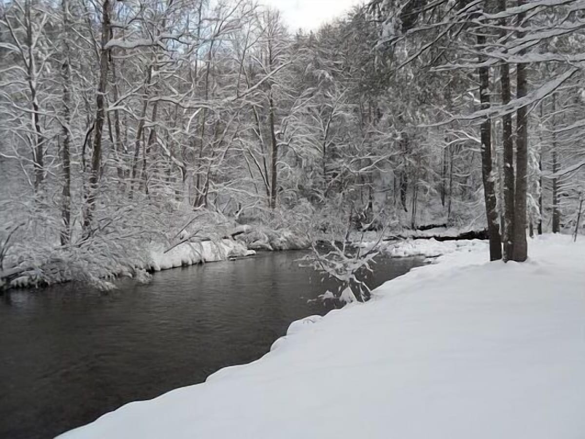 Real Log Cabin, Beautiful Rushing Trout Stream, BRAND NEW Hot Tub, Wifi.