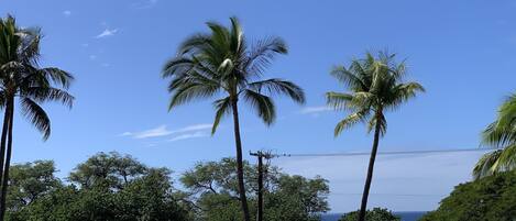 Direct Ocean View from Maui Parkshore #313