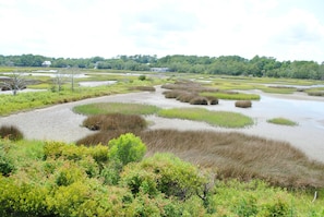 Marsh View