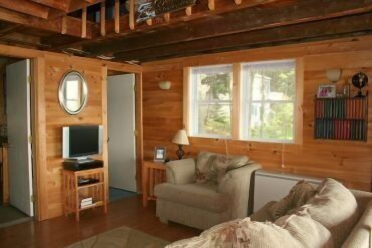 Overlook Cottage, Toddy Pond!