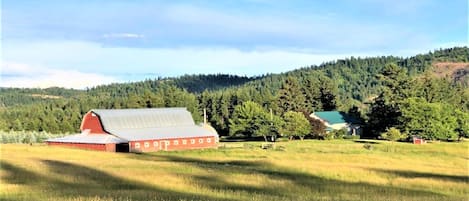 Field of Dreams Barn and Farmhouse