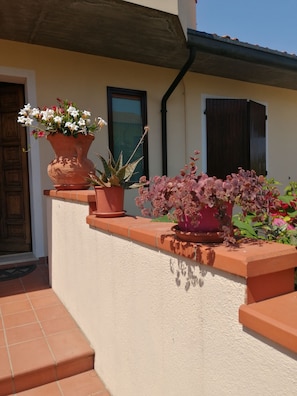 Exterior detail