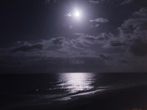 Night