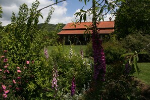 Terrain de l’hébergement 