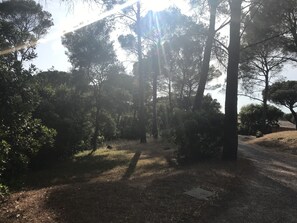 Property grounds
