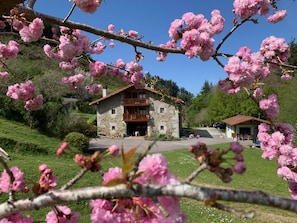 Terrain de l’hébergement 