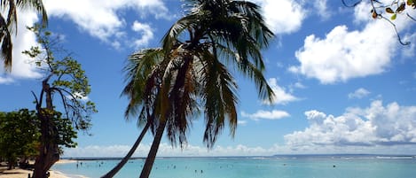 Plage communale de Sainte-Anne à 150 mètre de l'appartement.