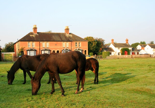 Waterley Brockenhurst. Second cottage from the right.