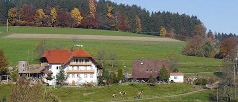 Dischhof