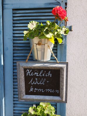 Dischhof