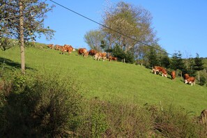 Umgebung