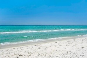 Salty Kiss | Panama City Beach