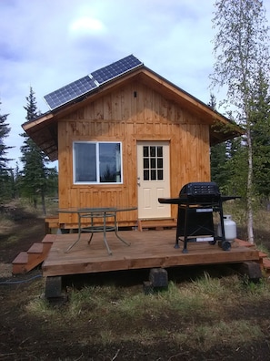 The back deck includes propane BBQ grill, two folding chairs, & table. 