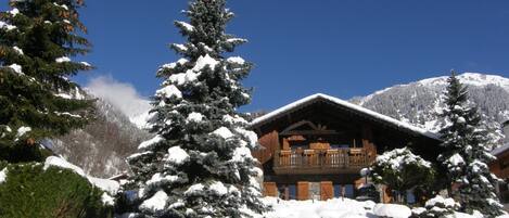 Chalet le sapin bleu hiver