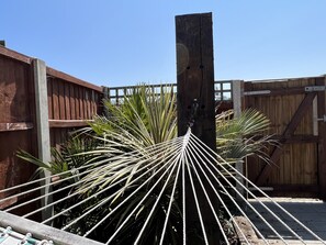 Hammock with tropical plants